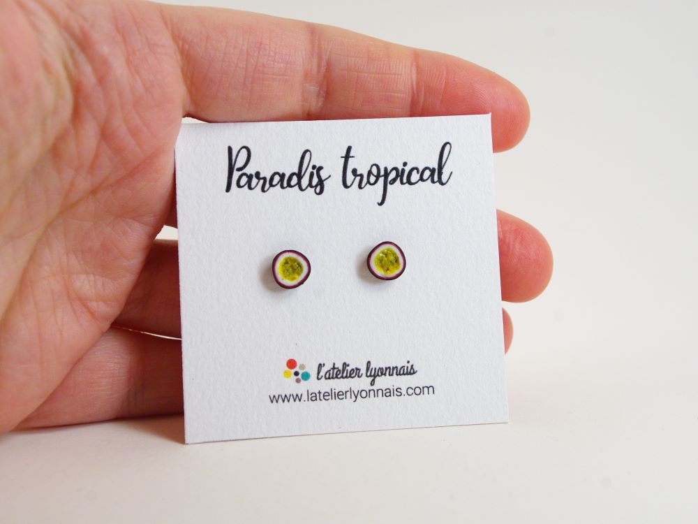 Boucles d'oreilles fruits de la passion miniatures